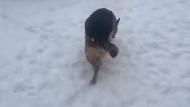 Немка сходня смотреть онлайн