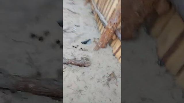 о моей жизни серия 2 смотреть онлайн