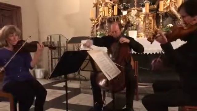 Franz Zebinger, aus: „Schmetterlingsstücke“, Trauermantel (Nymphalis antiopa), con tristezza смотреть онлайн