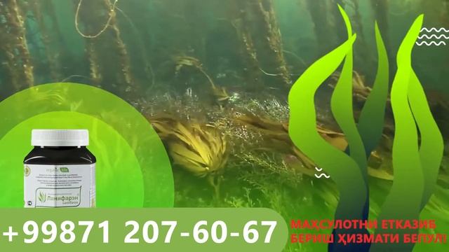 Lamifaren смотреть онлайн