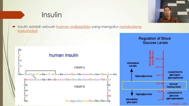 Peptida смотреть онлайн