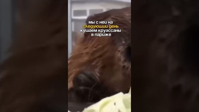 0% осуждения 100% понимания