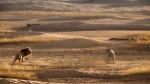 Голос. Клип (Песня) из Фильма | Король Лев (2019)