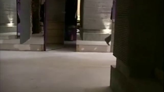 Dokument O Powstaniu Teatru Polonia I Premierze 