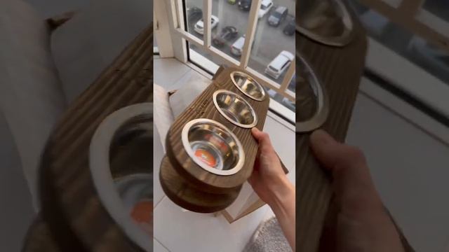 Миска для кошки покупки с валдберис #валдберис #покупки #кошка #кот #котики смотреть онлайн