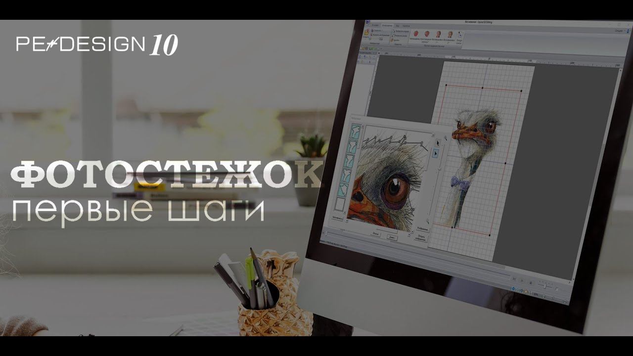 Уроки PE Design: Фотовышивка (Photostich). Страус смотреть онлайн