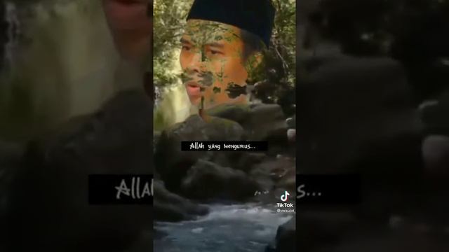 Bukhori смотреть онлайн