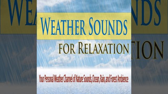 Window Rain Sounds (Weather Channel Sounds) смотреть онлайн