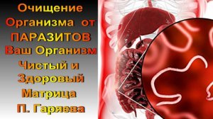 МОЩНАЯ АНТИПАРАЗИТАРНАЯ МАТРИЦА П. ГАРЯЕВА /  ОЧИЩЕНИЕ ОРГАНИЗМА ОТ ПАРАЗИТОВ И ИХ ТОКСИНОВ