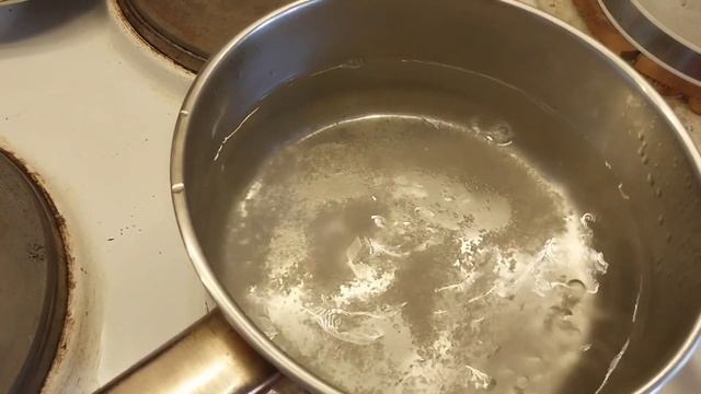 Забавные истории о домашних животных за границей