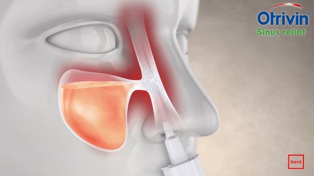 Brent Heise - Otrivin "Sinus Pressure" Menthol Canadian смотреть онлайн