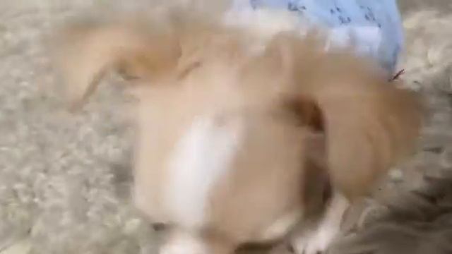 Игры в новой одежде смотреть онлайн