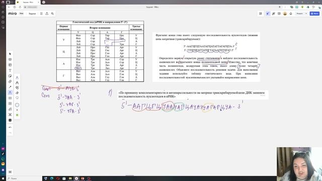 ЕГЭ Биология. Синтез белка. Решение задач. Открытая рамка считывания смотреть онлайн