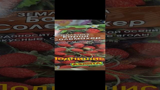 Сейчас самое время! смотреть онлайн