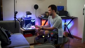 Морской аквариум спустя 9 месяцев / дешевый морской аквариум