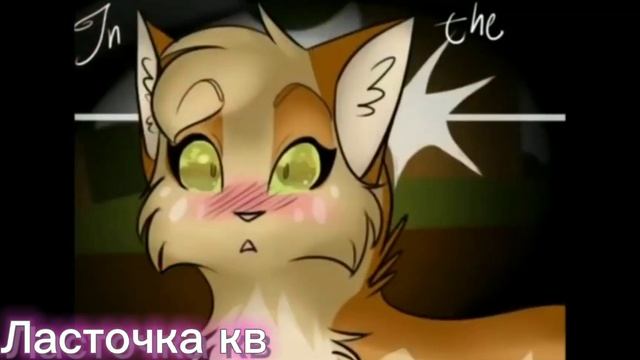 клип\Песчаная Буря & Огнезвезд\•More• смотреть онлайн