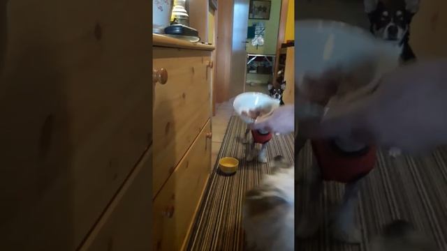 Warten смотреть онлайн