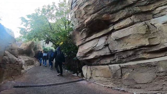 This coaster doesn't get enough praise! | Black Mamba at Phantasialand | Review смотреть онлайн
