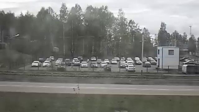 Хьюго и куст. Прокопьевский блюз. смотреть онлайн