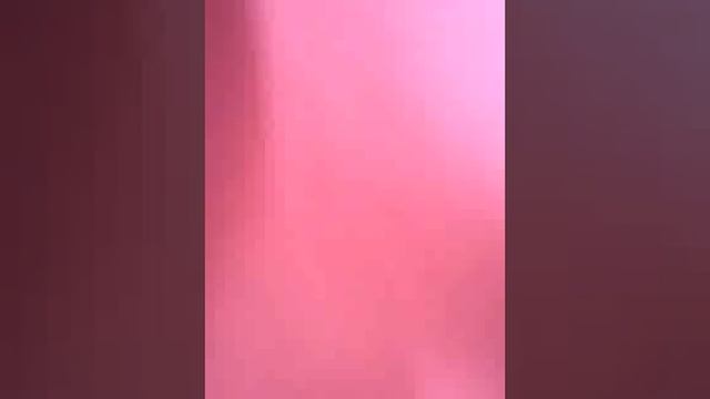 Собака на дереве.com смотреть онлайн