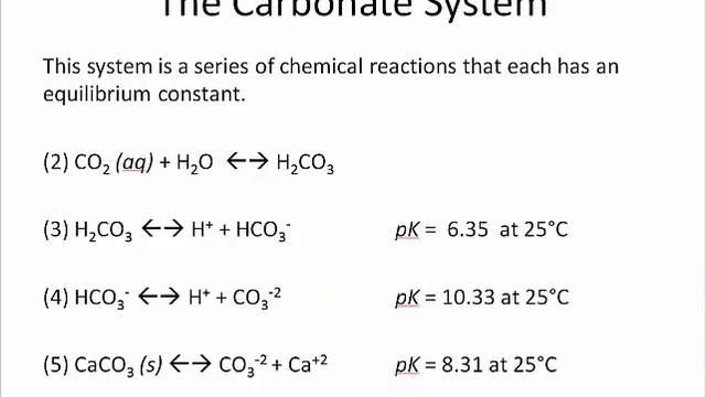 Water Chem Alkalinity Part 1 смотреть онлайн