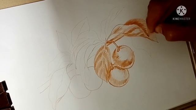 Easy colour pencil shading (monochrome) смотреть онлайн