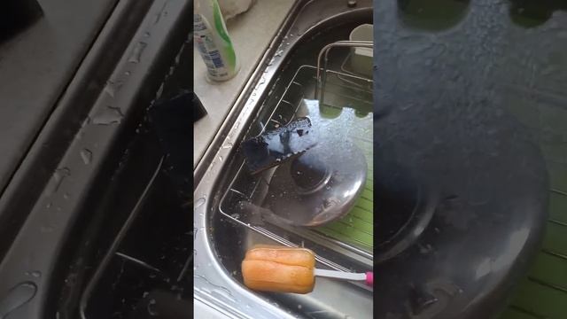 過炭酸ナトリウムでキッチン洗浄 смотреть онлайн