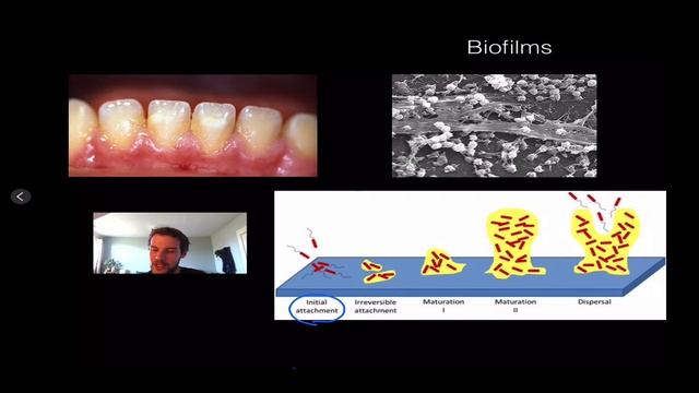Abiotic and Biotic Factors смотреть онлайн