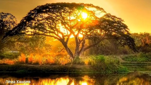 Ислам смотреть онлайн