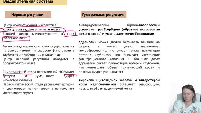 Урок 70  Нейрогуморальная регуляция
