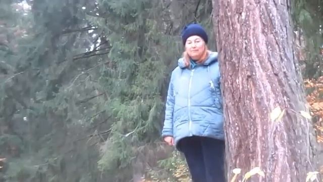 Красивая как осень золотая - Автор Владимир Кобрин музыка и поёт Анатолий Кравченко смотреть онлайн