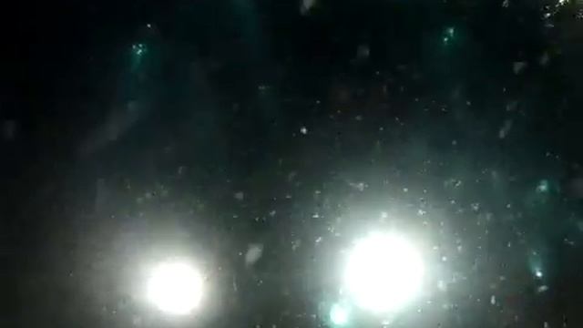 Josh brown and Shannon with manta ray night dive смотреть онлайн