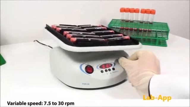 Rocker Lab смотреть онлайн