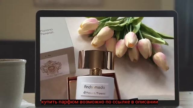 Tiziana Terenzi Andromeda Пробник смотреть онлайн