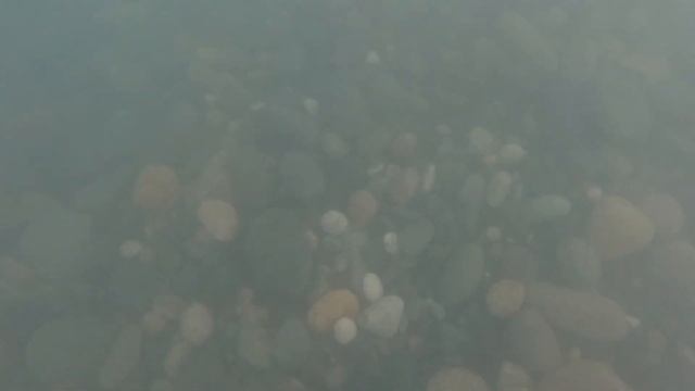 В море с головой смотреть онлайн