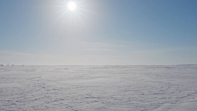 Брожу в окрестностях Кользиваново, прилетели гуси, чибисы, весна идет смотреть онлайн