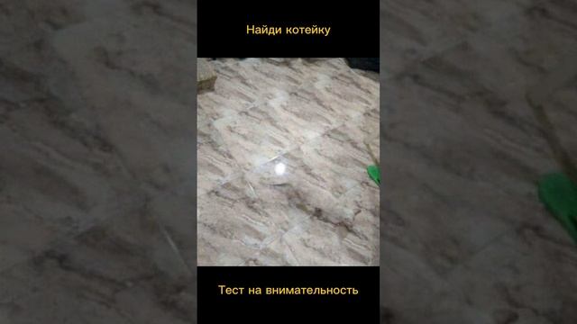 Тест на внимательность смотреть онлайн