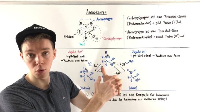 AMINOSÄUREN (Aufbau, Eigenschaften, Zwitterion) | Chemie Tutorial смотреть онлайн