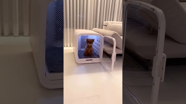 😀😀😀😀❤️