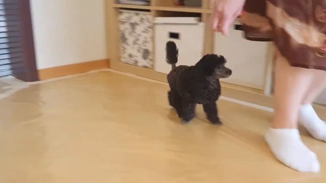 20210521 123723 смотреть онлайн