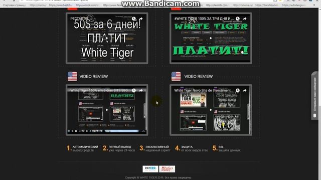 White tiger 150% за 3 дня "ПЕРВАЯ ВЫПЛАТА ПОЛУЧИНА" смотреть онлайн