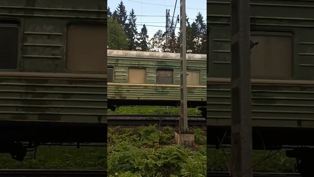 Безбилетник старый смотреть онлайн