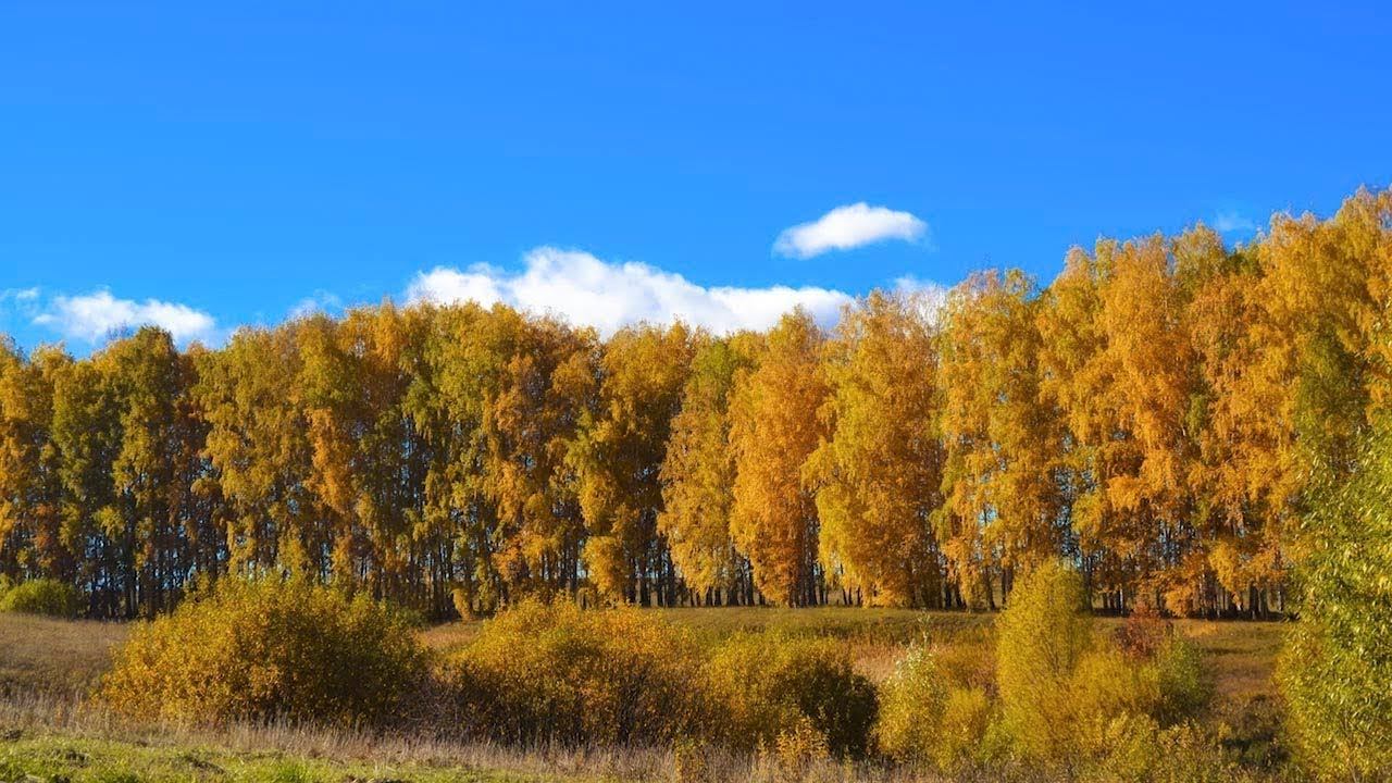 Осенняя экскурсия фотосессия смотреть онлайн