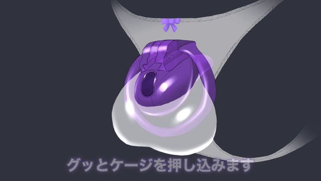 貞操具図解#12(Chastity Device Description)