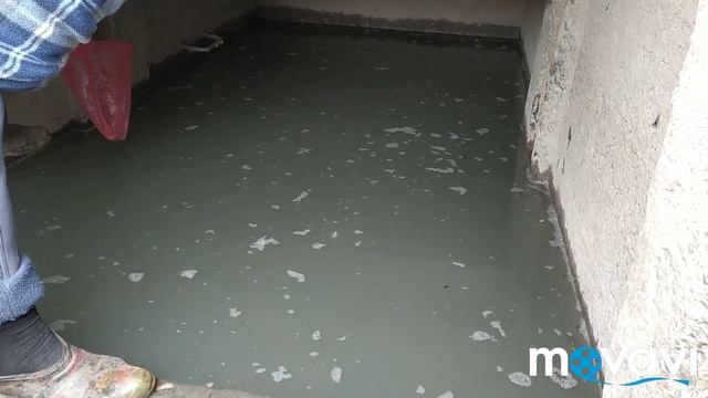 Влог Рыбы Малек в опасности Спасательная операция смотреть онлайн