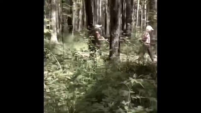 В поисках приключений смотреть онлайн