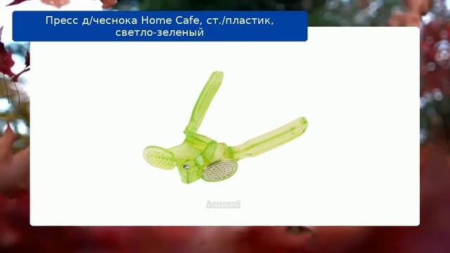 Пресс д/чеснока Home Cafe, ст./пластик, светло-зеленый обзор смотреть онлайн