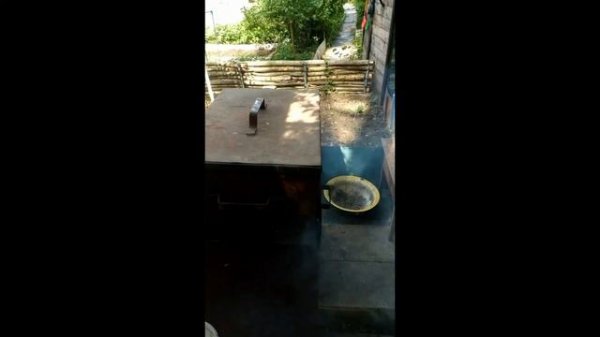 Скумбрия и горбуша горячего копчения