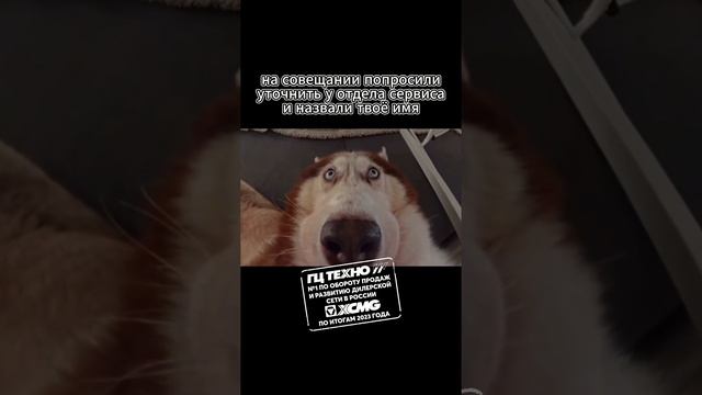 на совещании #xcmg #гцтехно #shorts #юмор #спецтехника смотреть онлайн