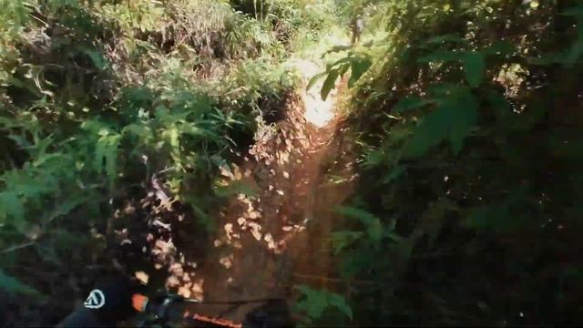 TEAM 70N 8.5.23 FUN RIDE смотреть онлайн